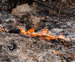Огнеборци дежурят в землищата на Гранитово и Мелница, до потушаване на големия пожар, обхванал площ от 8 000 декара 
